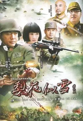 《梨花似雪》影评：如诗如画的爱情挽歌，在雪夜中绽放的凄美与希望